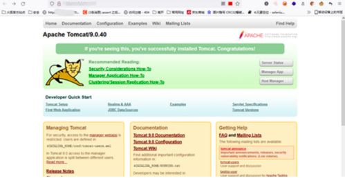 默認(rèn)頁(yè)面信息泄露 網(wǎng)絡(luò)安全面試中的關(guān)鍵挑戰(zhàn)與應(yīng)對(duì)策略